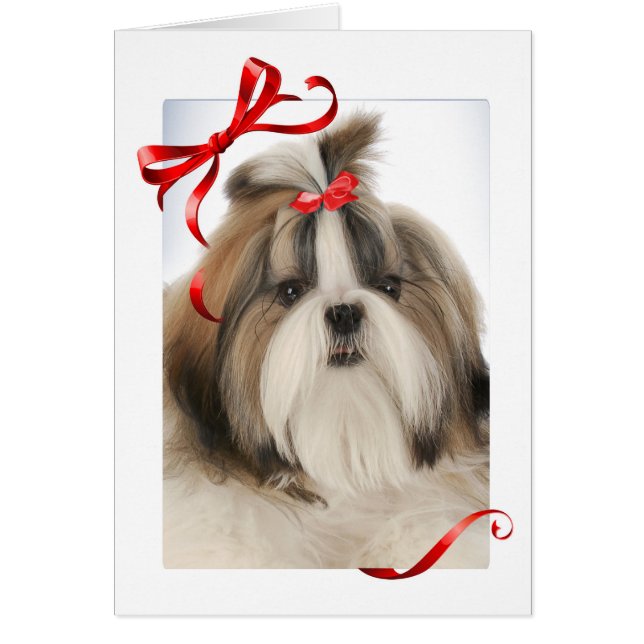 Tarjeta de Navidades Shih Tzu (Frente)
