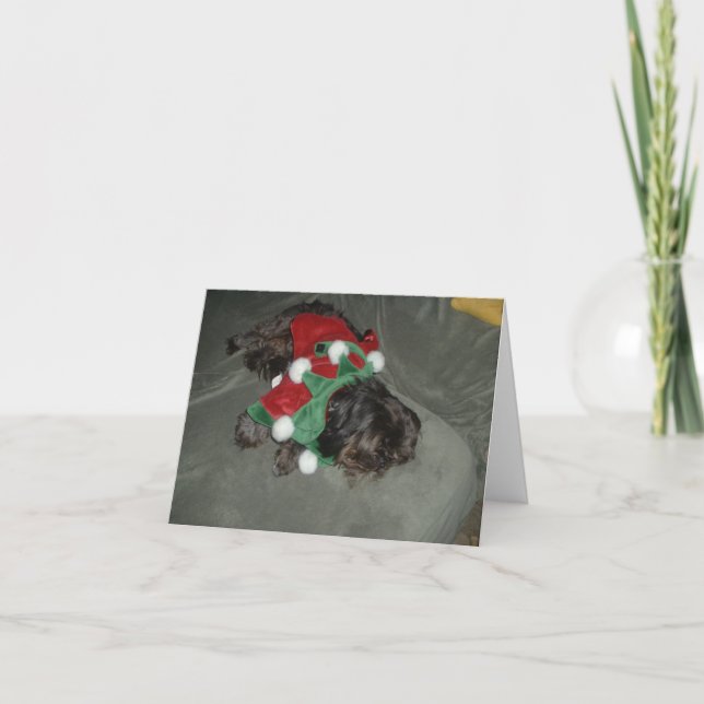 Tarjeta de Navidades Shih Tzu (Anverso)