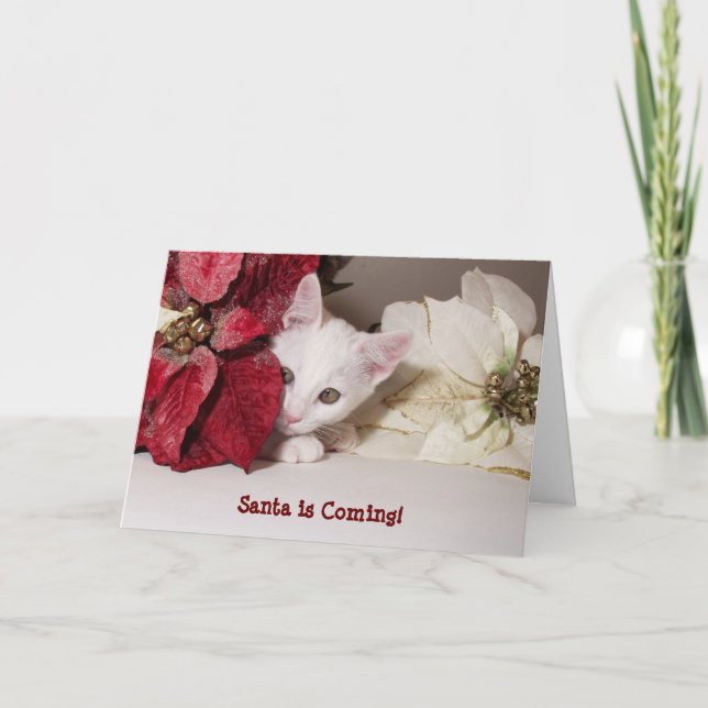Tarjeta de Navidades Shy Kitten Poinsettia (Anverso)