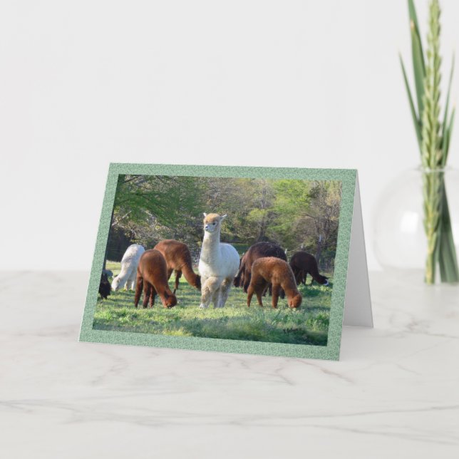 Tarjeta de Navidades Sleigh Belle (Anverso)