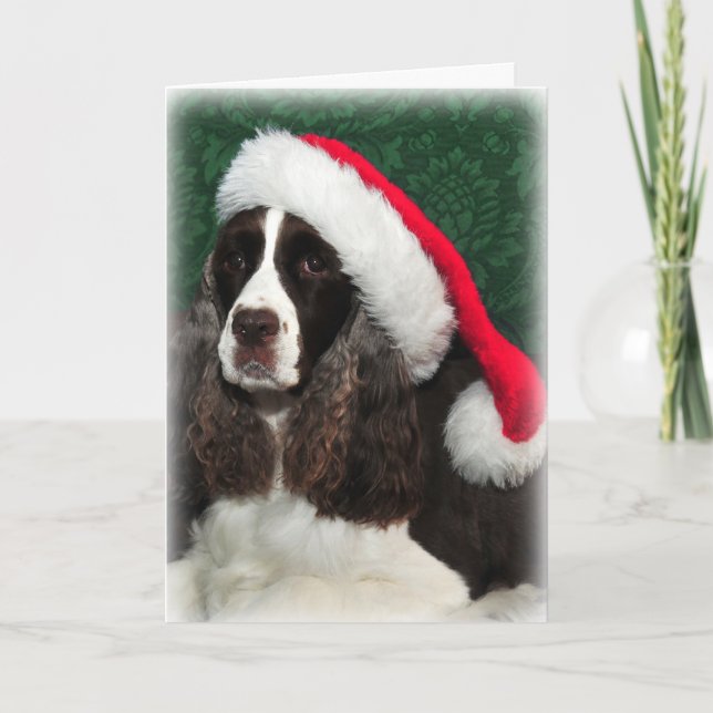 Tarjeta de Navidades Springer Spaniel (Anverso)
