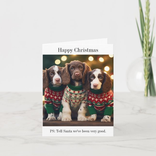 Tarjeta de Navidades Springer Spaniel Puppies (Anverso)