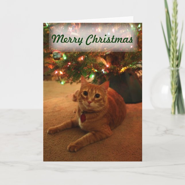 Tarjeta de Navidades Tabby naranja (Anverso)