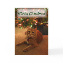 Tarjeta de Navidades Tabby naranja