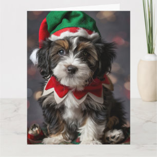 Tarjeta de Navidades tibetanos de pipa de elfo ter