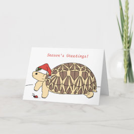 Tarjeta de Navidades Tortoise Estrella de personal