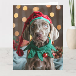 Tarjeta de Navidades Weimaraner Elf Puppy