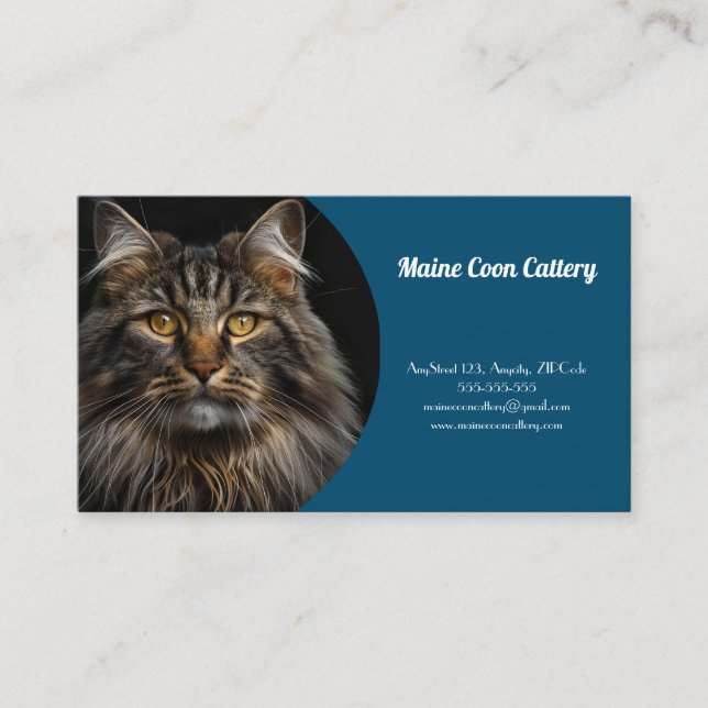 Tarjeta De Negocio Azul Personalizada Para Catarat (Anverso)