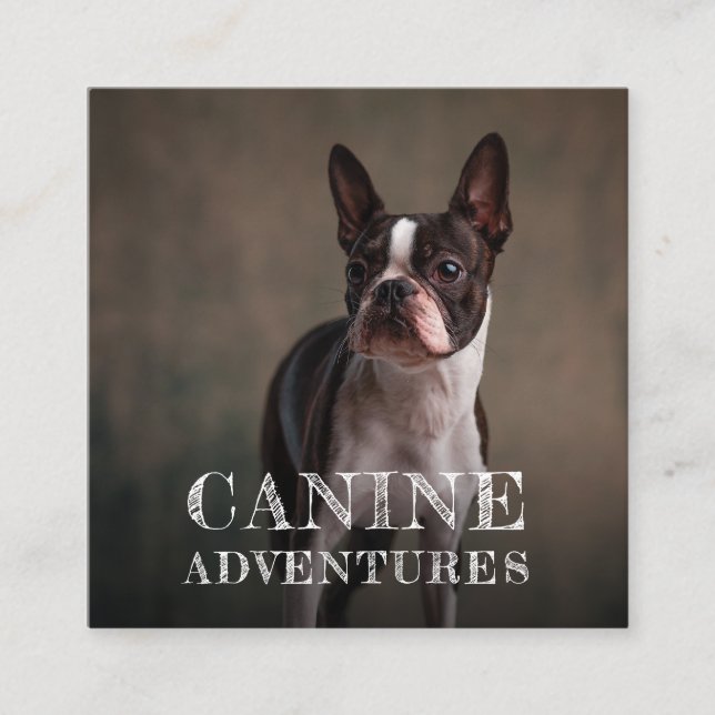 Tarjeta De Negocio Cuadrada De Adventures Y Dog Ad (Anverso)