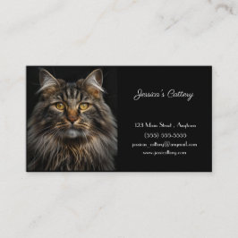 Tarjeta De Negocio Custumizable Para Cataratas