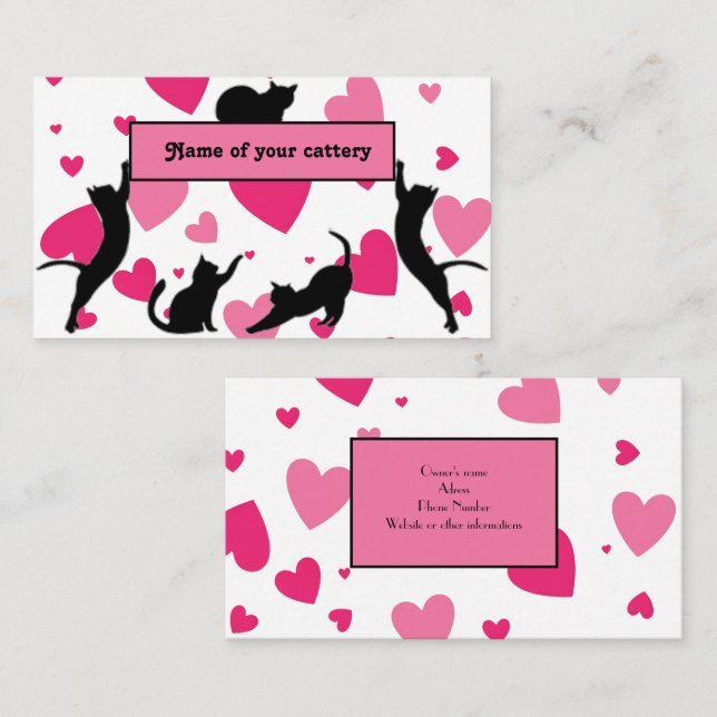 Tarjeta De Negocio Personalizada Para Cataratas (Anverso / Reverso)