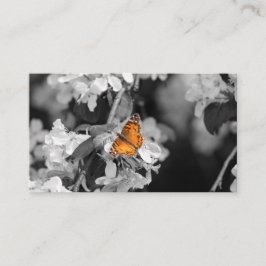 Tarjeta De Negocios Americana Lady Butterfly On Bl