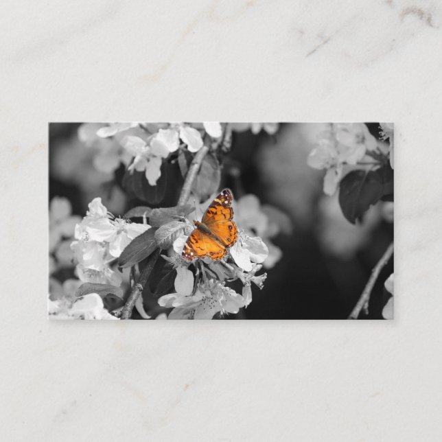 Tarjeta De Negocios Americana Lady Butterfly On Bl (Anverso)