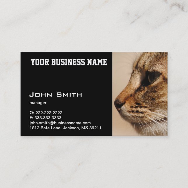 Tarjeta de negocios Cat silenciosa (Anverso)