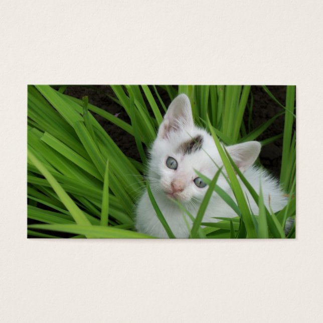 Tarjeta De Negocios De Gatito (Frente)
