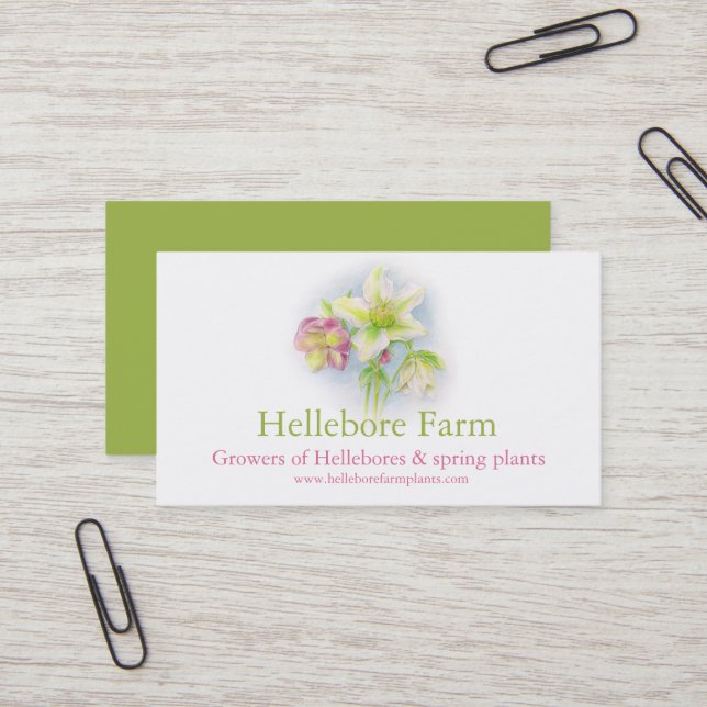 Tarjeta de negocios de proveedores de plantas agrí (Anverso/Reverso In Situ)