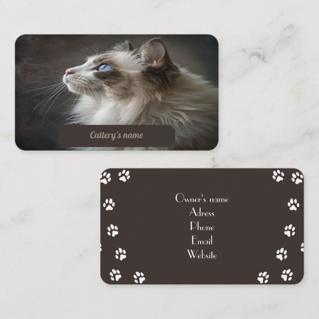 Tarjeta De Negocios Para Cattery Ragdoll (Anverso / Reverso)