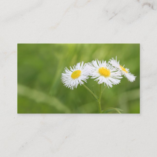 Tarjeta de negocios Weed daisy (Anverso)