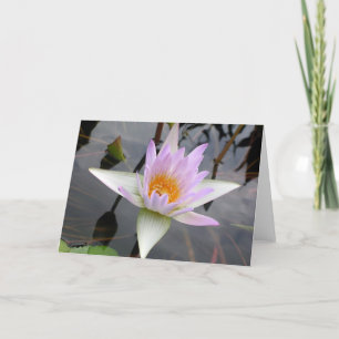 Tarjeta de Nenúfar de Color Purpura Claro