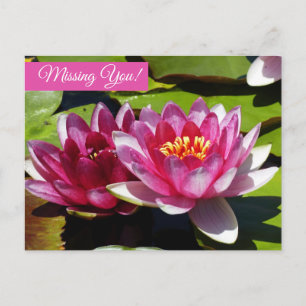 Tarjeta de Nenúfares Rosados