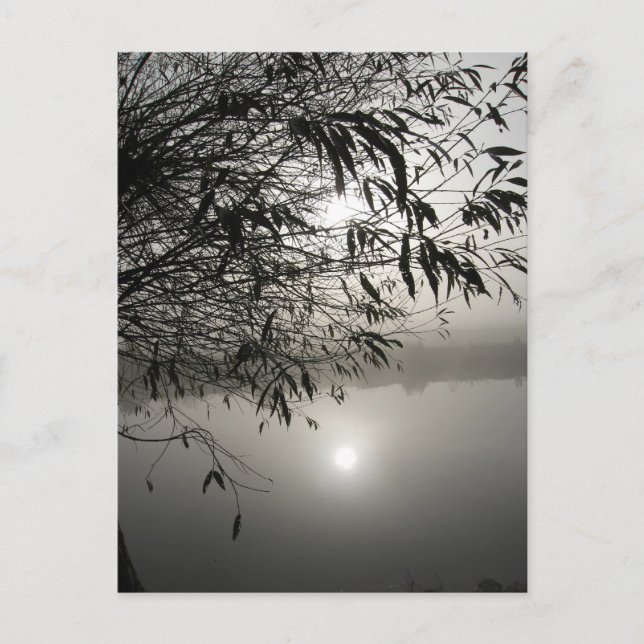 Tarjeta de niebla y sombra (Anverso)