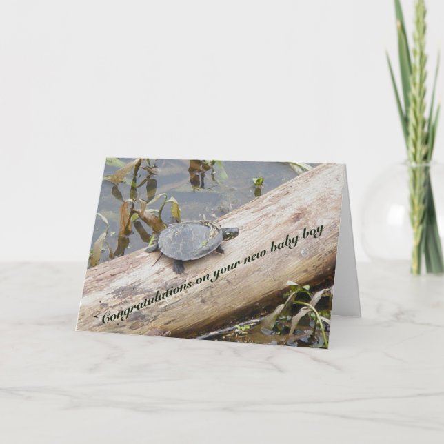 Tarjeta de niño de Recién nacido de tortuga pintad (Anverso)