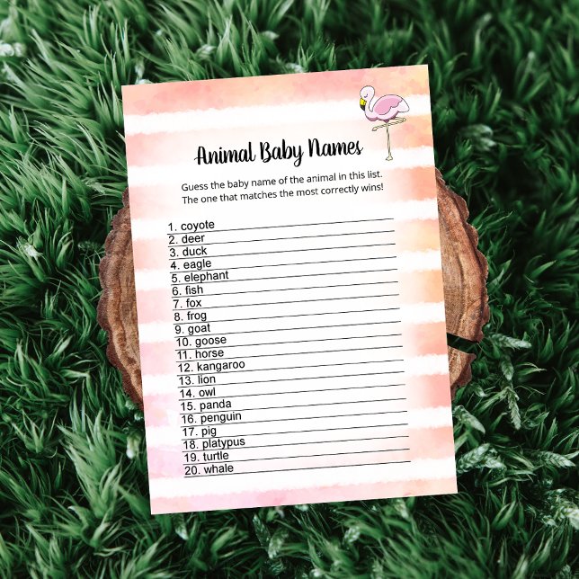 Tarjeta de nombres de animales Flamingo coral a ra (Subido por el creador)