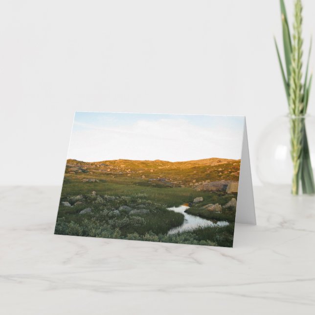 Tarjeta de Noruega Hardangervidda (Anverso)