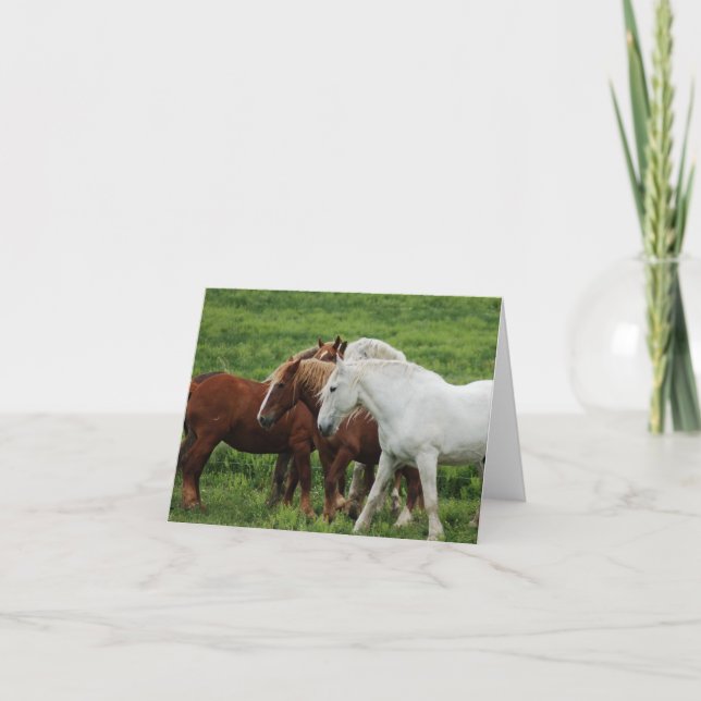 Tarjeta de nota (Anverso)