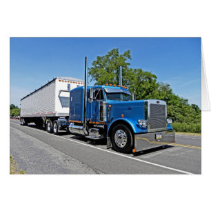 Tarjeta de nota 379 de Zook