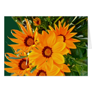 Tarjeta de nota africana de los diarios