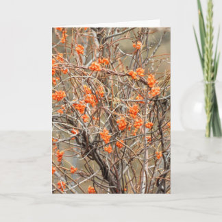 Tarjeta de nota agridulce