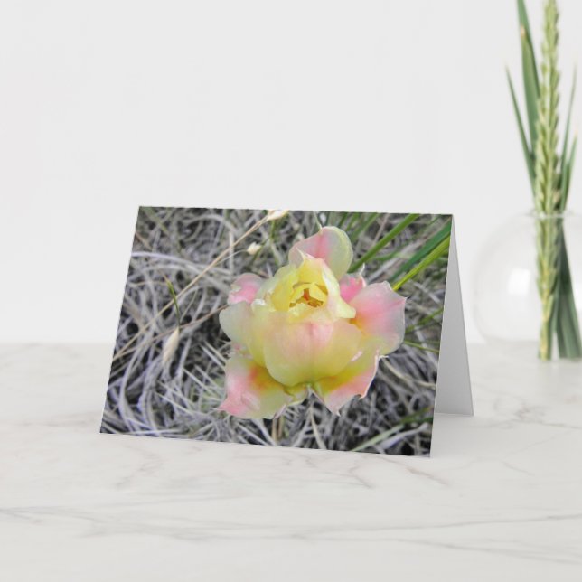 Tarjeta de nota amarilla de la flor del cactus (Anverso)