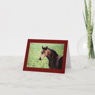 Tarjeta de nota árabe del potro