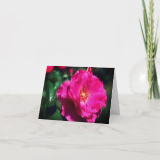 Tarjeta de nota Art Blanc de Flor Rosa Rosa
