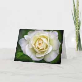 Tarjeta de nota Art Blank de Flor de Rosa Blanca