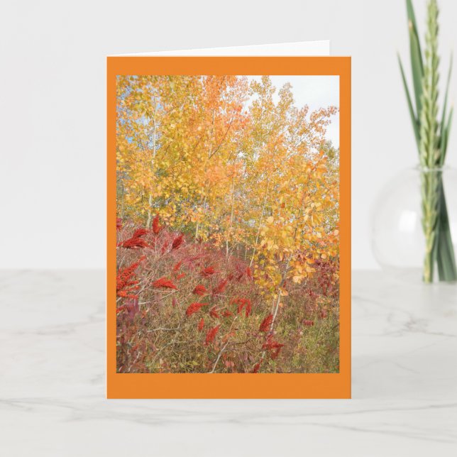 Tarjeta de nota Aspen and Sumac Blank (Anverso)
