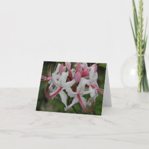 Tarjeta de nota Azalea