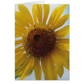 Tarjeta de nota azul cielo amarillo con flores de 