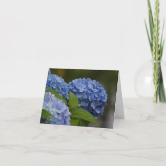 Tarjeta de nota azul del Hydrangea