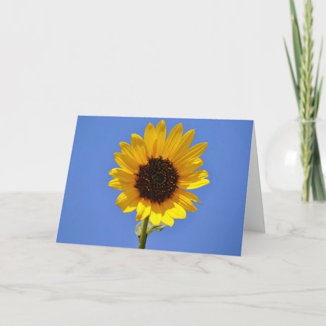 Tarjeta de nota Big Blue Sky y Wild Sunflower (Anverso)