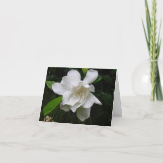 Tarjeta de nota blanca brillante de las