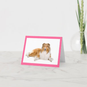 Tarjeta De Nota Blanda De Perro De Collie Blanco Y