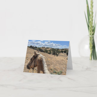 Tarjeta de nota, caballo de Palomino y cielo azul