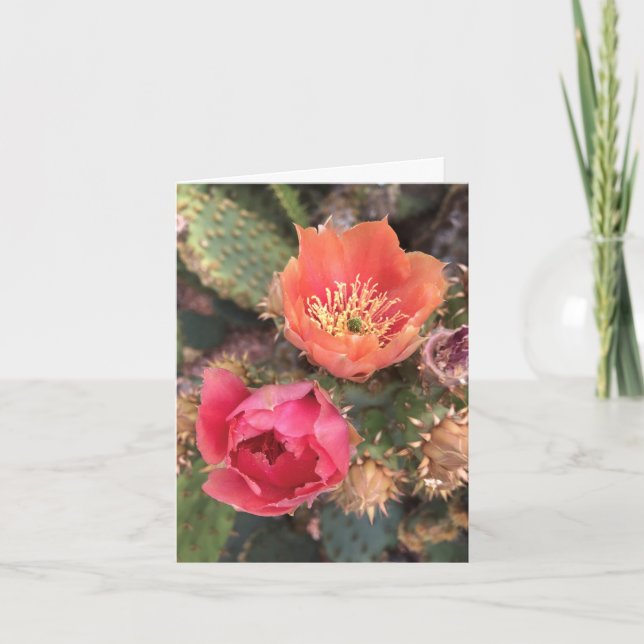 Tarjeta de nota Cactus Flower Blossoms (Anverso)