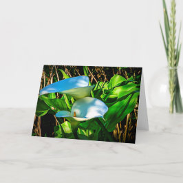 Tarjeta de nota Calla Lilies