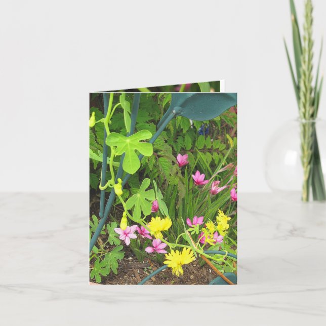 Tarjeta de nota Canary & RedStar (Anverso)