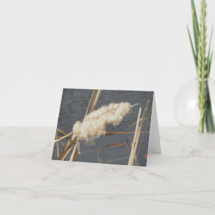 Tarjeta de nota Cattail in March
