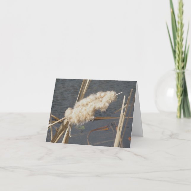 Tarjeta de nota Cattail in March (Anverso)