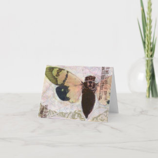 Tarjeta de nota Cicada